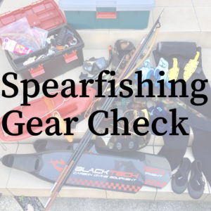 Spearfishing Gear Check】みんなの魚突き道具投稿スペース（ウェット